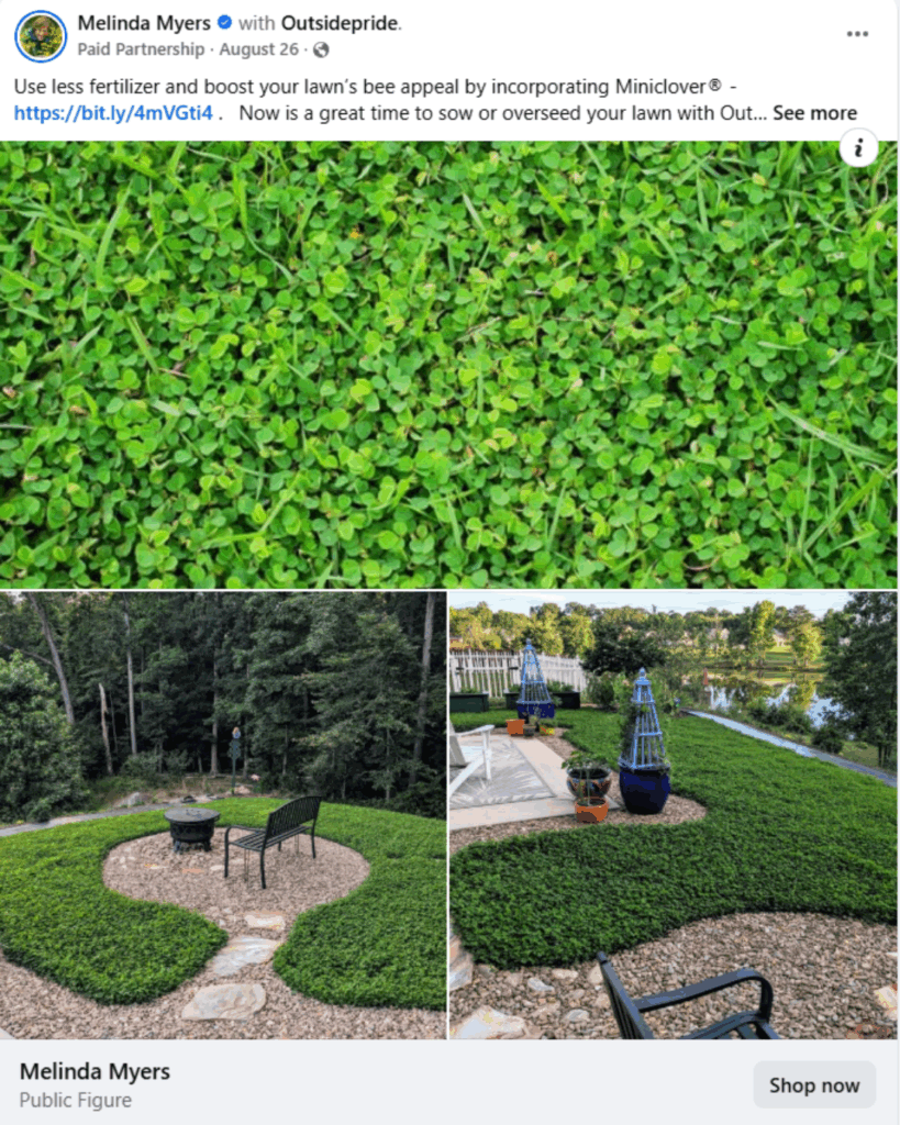 Meta partnership ads